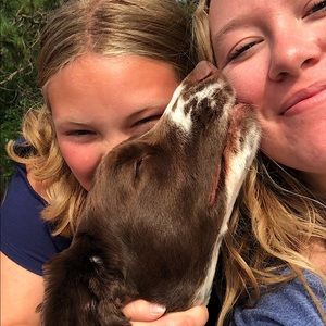 Meet your Posher, Meagan